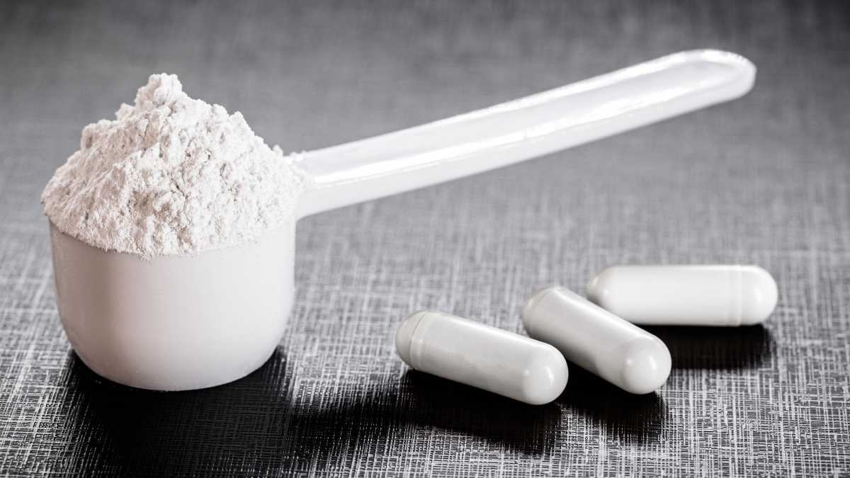 A creatina aumenta a testosterona? Entenda a relação