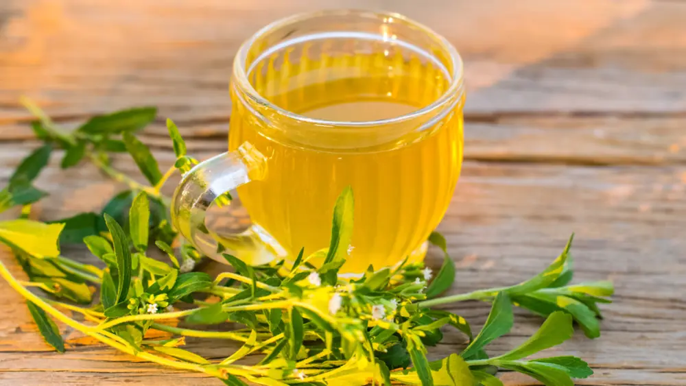 Chá de Stevia