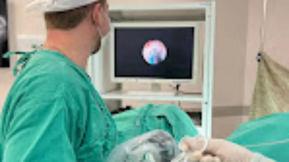 Dr. Pedro Bastos Urologista
