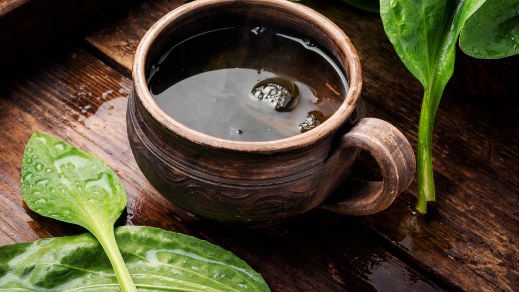 Chá de tanchagem para infecção urinária